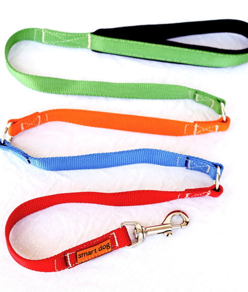 Guinzaglio Multicolor per Cani